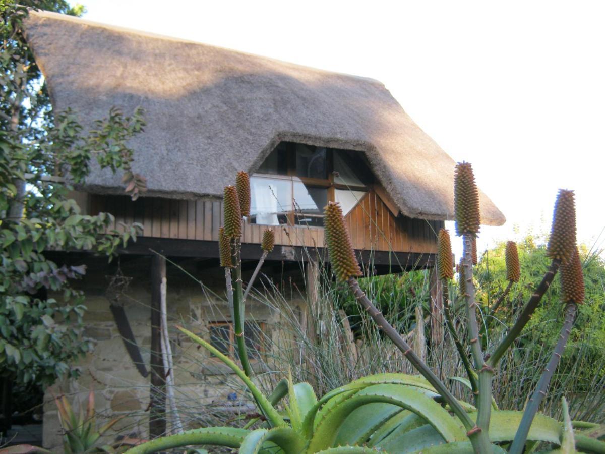 Driftwood Treehouse Hotel Sunrise-on-Sea Exterior photo