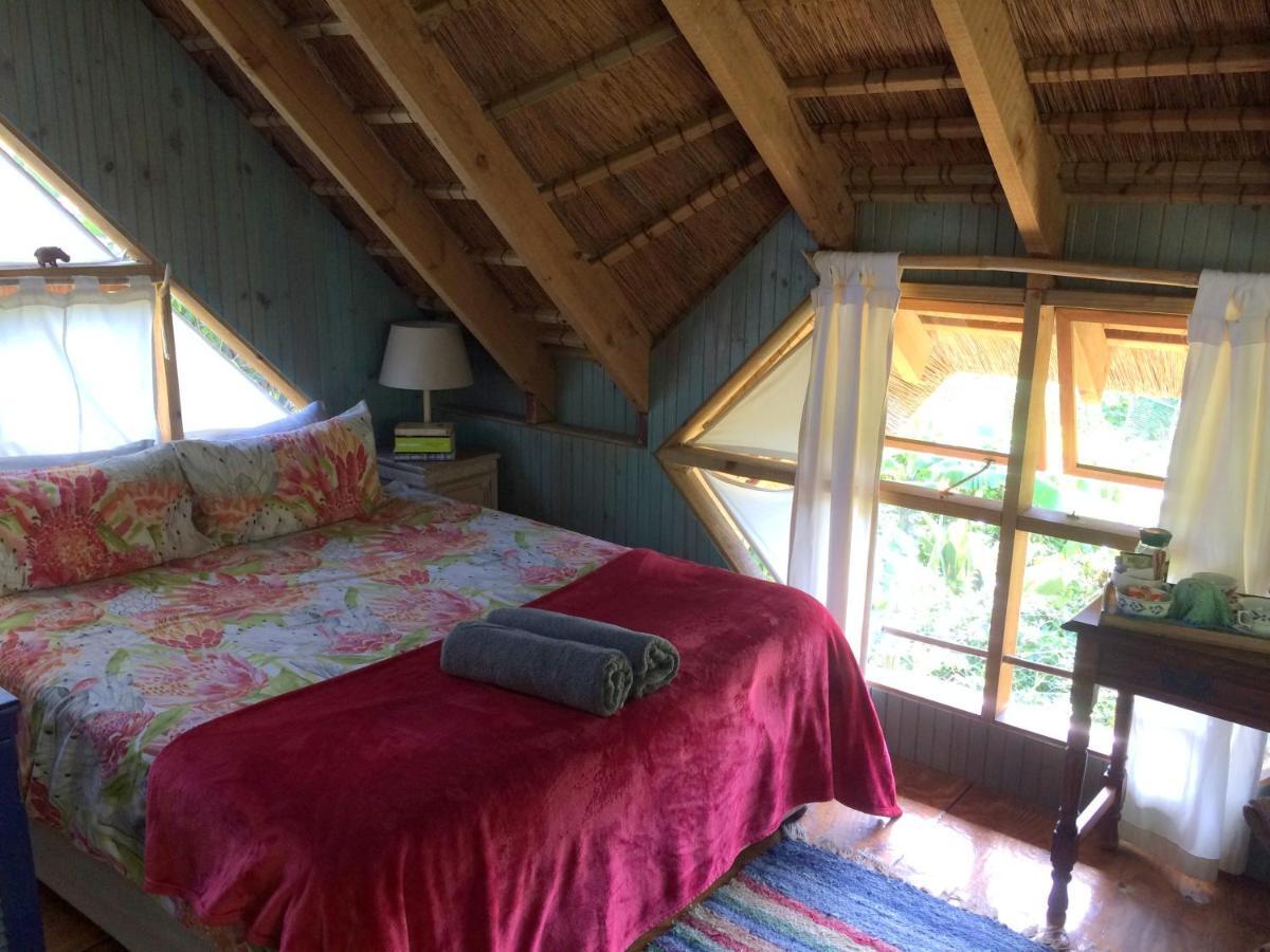 Driftwood Treehouse Hotel Sunrise-on-Sea Exterior photo